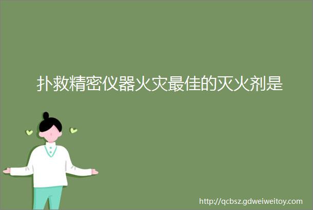 扑救精密仪器火灾最佳的灭火剂是